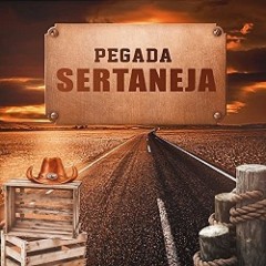 PROGRAMA PEGADA SERTANEJA